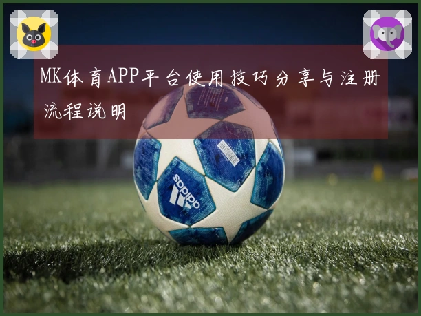 MK体育APP平台使用技巧分享与注册流程说明