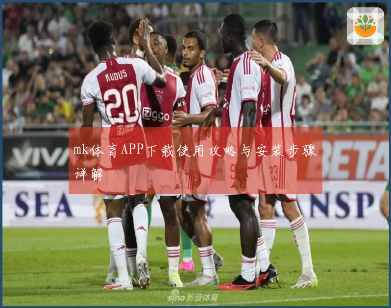 mk体育APP下载使用攻略与安装步骤详解