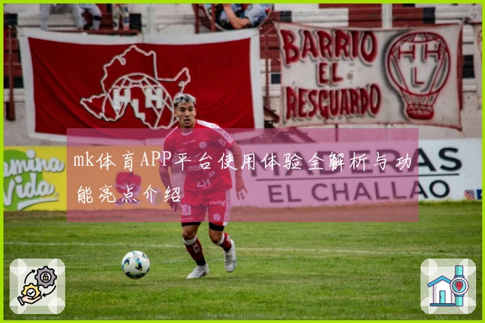 mk体育APP平台使用体验全解析与功能亮点介绍